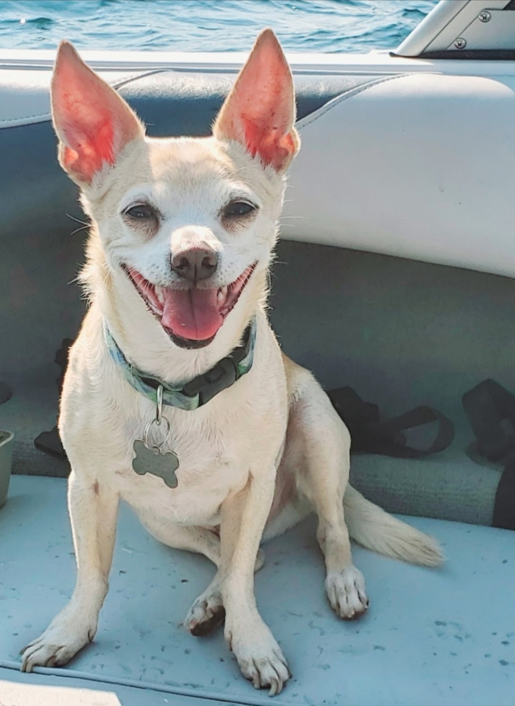 Frank on a boat